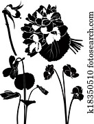 violets flowers bouquet isolated violets flowers bouquet isolated