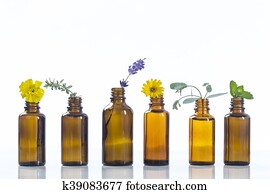 essential oils and medical flowers herbs essential oils and medical flowers herbs