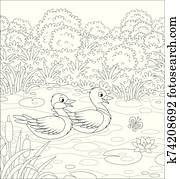 wildes, enten, auf, a, see wildes, enten, auf, a, see