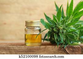cannabis oil and hemp cannabis oil and hemp