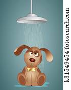 Dog grooming Dog grooming
