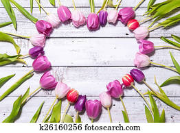 Heart of fresh tulips