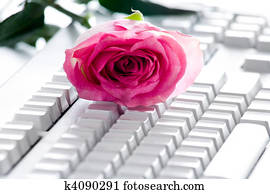 rosa, ligado, teclado