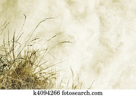 Textured background with herbs and space for text or image - scrapbooking Textured background with herbs and space for text or image - scrapbooking