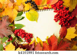 Herbst war and the state in africa summary image