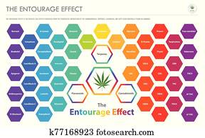 The Entourage Effect Overview horizontal business infographic The Entourage Effect Overview horizontal business infographic