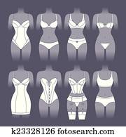 עצב, לבני נשים, קבע, של, שונה, נקבה, underwear.