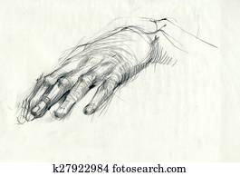 a hand drawing - hand, palm a hand drawing - hand, palm