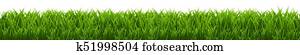 Grass Border Grass Border