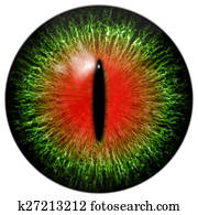 Green red cat or reptile eye with narrow pupil Green red cat or reptile eye with narrow pupil
