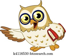 Owl Owl