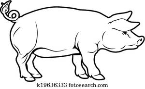 schwein, abbildung schwein, abbildung