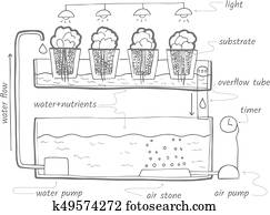 Ebb and flow hydroponic system Ebb and flow hydroponic system