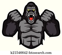 gorilla angry gorilla angry