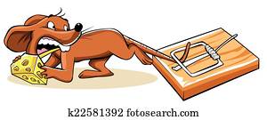 Mouse Trap Mouse Trap