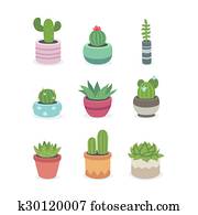cactus, en, succulent, planten, in, potten