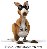 divertimento, canguru