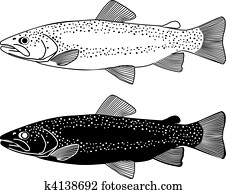 forelle, fische, vektor, abbildung forelle, fische, vektor, abbildung