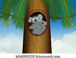 koala in the trunk of the plant koala in the trunk of the plant