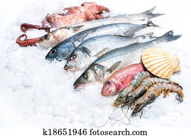 Seafood on ice