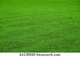 מדשאה, טקסטורה