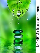 balancing spa shiny stones with leaf and water drops on green background