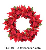 christmas wreath from poinsettia christmas wreath from poinsettia