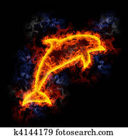 Fiery dolphin. Fiery dolphin.