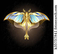 Mechanical Moth Mechanical Moth