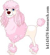 Pink Poodle Pink Poodle