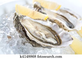 raw oysters with lemon and ice raw oysters with lemon and ice