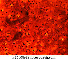 Bloody spots abstract