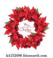 christmas wreath from poinsettia christmas wreath from poinsettia