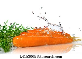 fresh water splash on carrot isolated on white fresh water splash on carrot isolated on white
