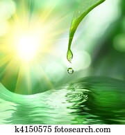 green leaf with drop of water on green sunny background green leaf with drop of water on green sunny background