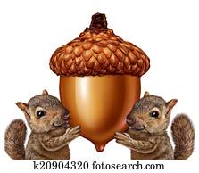 Squirrels Holding An Acorn
