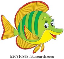 Coral Fish Coral Fish