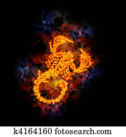 Fiery scorpion. Fiery scorpion.