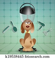little dog to the hairdresser for grooming little dog to the hairdresser for grooming
