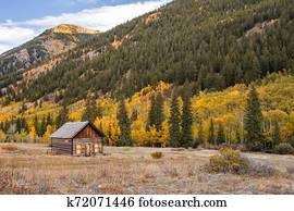 Ashcroft Autumn Ashcroft Autumn