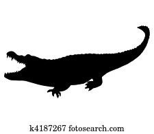 Black Alligator Black Alligator