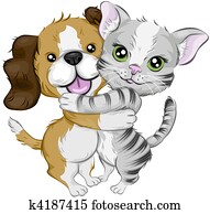 Dog and Cat Dog and Cat