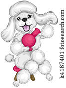 Poodle Grooming Poodle Grooming