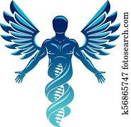 vector, grafisch, illustratie, van, sterke, mannelijke, gemaakt, als, dna, kusten, voortzetting, en, gecreëerde, met, vogel, wings., menselijk, als, de, voorwerp, van, biochemie, research.