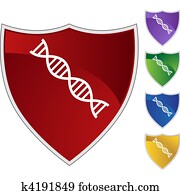 DNA DNA