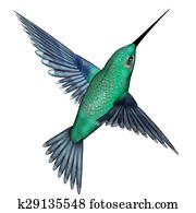 Emerald hummingbird - 3D render Emerald hummingbird - 3D render