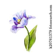 Purple tulips, watercolor painting. Purple tulips, watercolor painting.
