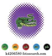 Alligator Alligator