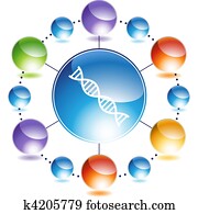 DNA DNA