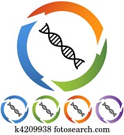DNA DNA
